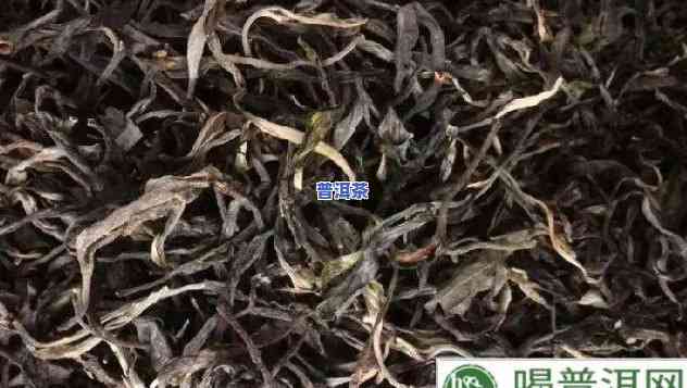 普洱茶条索对比：清晰图片展示不同茶品的区别