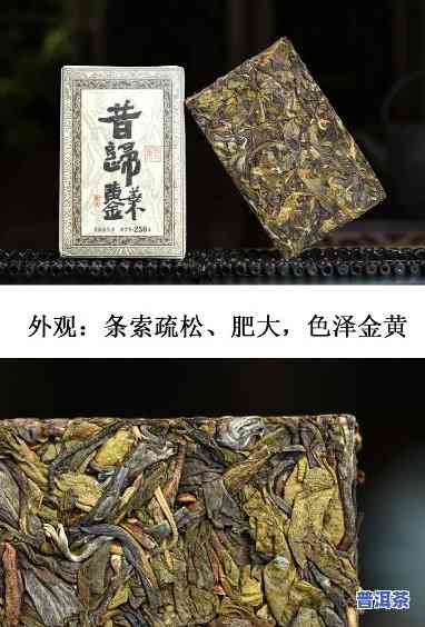 黄金砖是什么茶？探秘冰岛、昔归等品种的特点与区别