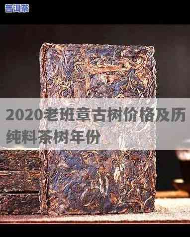 2020古树老班章春茶价格：最新市场行情分析