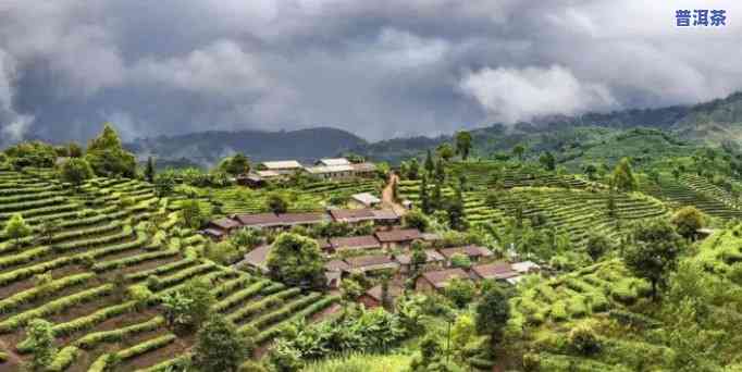 老挝有几个普洱茶基地啊-老挝有几个普洱茶基地啊图片