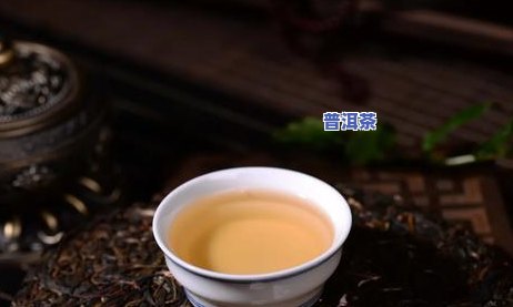 李子普洱茶功效作用禁忌是什么，探秘李子普洱茶：功效、作用与饮用禁忌