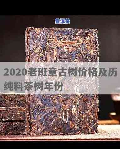 2020古树老班章春茶价格，2020年老班章春茶价格：古树茶叶的独特魅力与价值