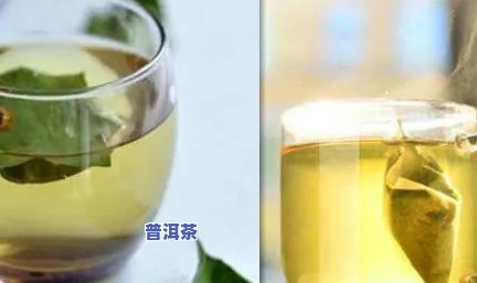 冬瓜普洱茶可以减少尿酸，冬瓜普洱茶：天然的降尿酸良