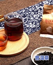 普洱熟茶泡茶视频教程大全