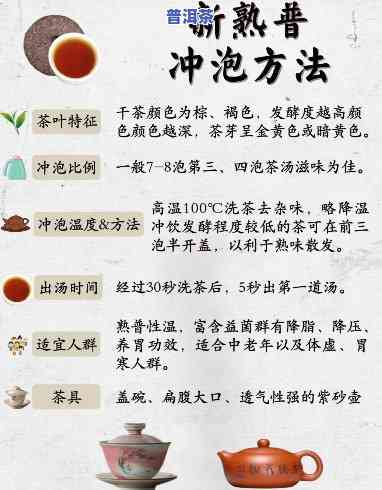 熟普洱茶的泡法视频教程详解