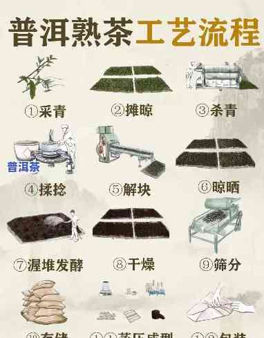 全程详解：普洱熟茶制作视频教程