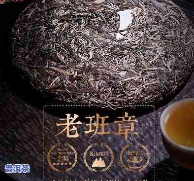 老班章161号古茶-老班章1号茶园