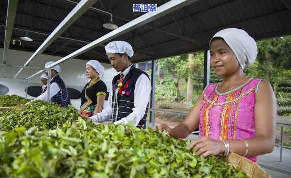 勐海瑞森茶厂普洱，品味云南：探索勐海瑞森茶厂的普洱茶世界