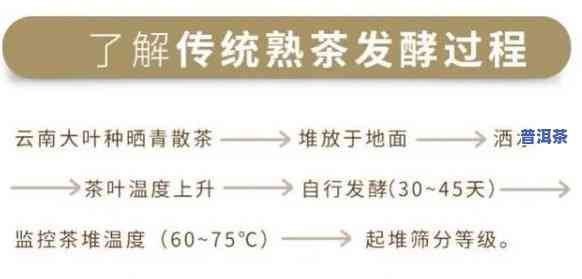 普洱熟茶的转化周期：过程与时间解析