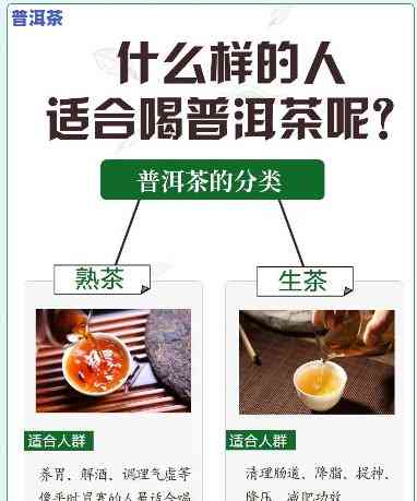 什么人适合喝生普洱茶？功效与适宜人群解析