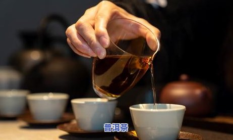 什么样的人喝生普洱茶好-什么样的人喝生普洱茶好呢