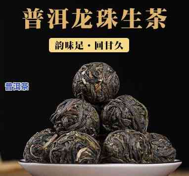 龙珠普洱茶源头厂家地址查询