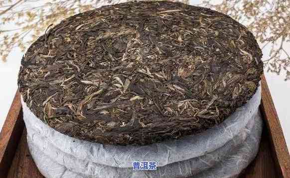 普洱茶不存在笋壳的更佳保存方法是什么？