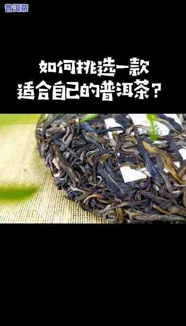 8596普洱茶：熟悉8592与8596两款经典普洱茶的区别