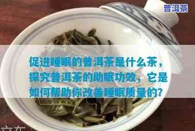 普洱茶改善睡眠：方法与效果解析