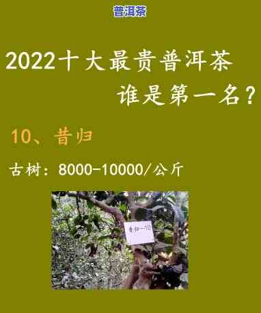 普洱熟茶排行榜前十名，探秘普洱熟茶的世界：前十名大揭秘