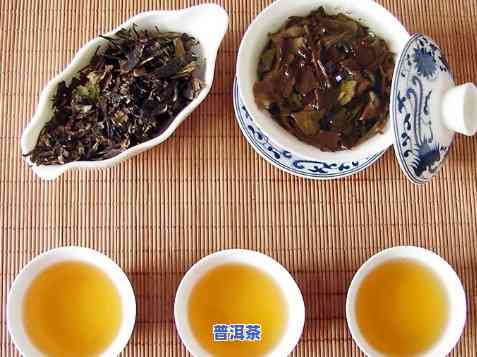 南方适合存普洱茶吗，探讨南方气候对普洱茶存储的作用：是不是适宜存放？