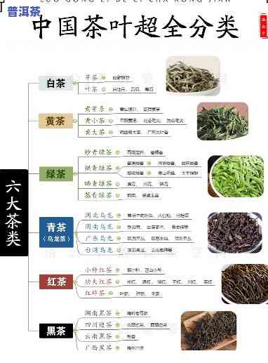 普洱茶辨茶八法视频教学-普洱茶辨茶八法视频教学大全