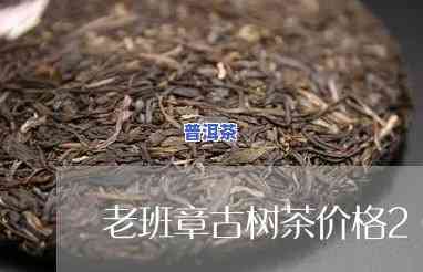 老班章古树茶价格2009，老班章古树茶：2009年的市场价格分析