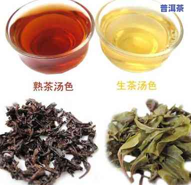 六大茶叶普洱茶种类图片-六大茶叶普洱茶种类图片大全