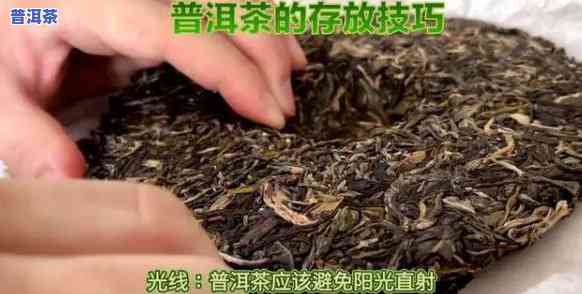 普洱茶撬开后能否存放？是不是有？可放多久？