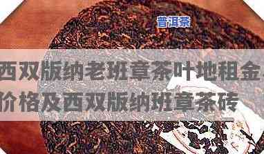 西双版纳老班章茶叶：从茶园到茶砖的价格解析