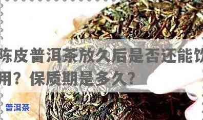 海南陈皮普洱茶保存时间-海南陈皮普洱茶保存时间多久