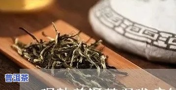 喝熟普洱茶后有痰怎么办呀，解决熟普洱茶引起痰多疑问的有效方法