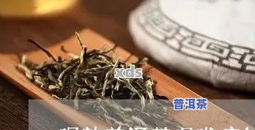 喝熟普洱茶后有痰怎么办-喝熟普洱茶后有痰怎么办呢