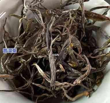 丝毛根和普洱茶哪个好喝一点，丝毛根与普洱茶：口感对比，谁更胜一筹？