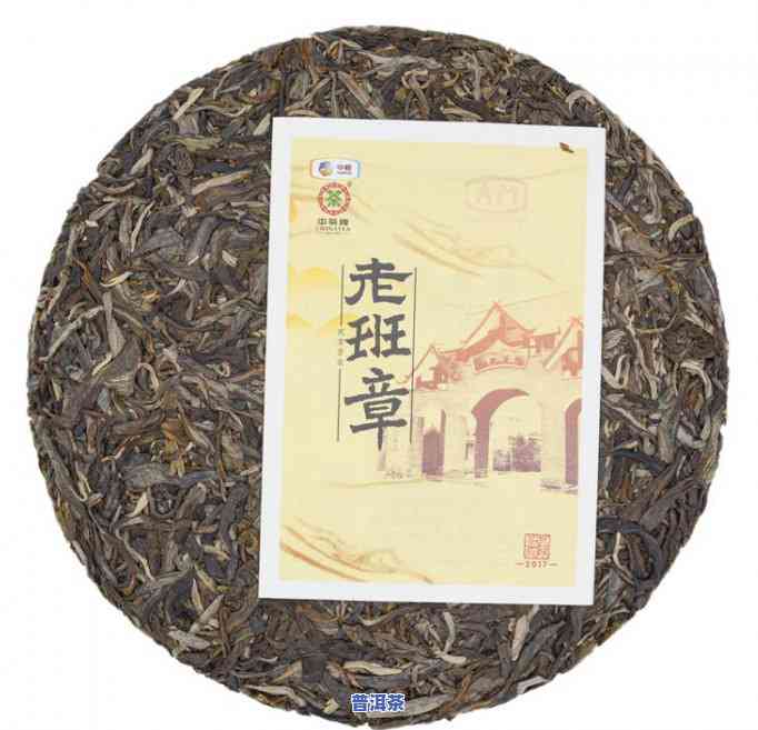 老班章村千年古茶树，探寻千年古茶树：走进云南老班章村