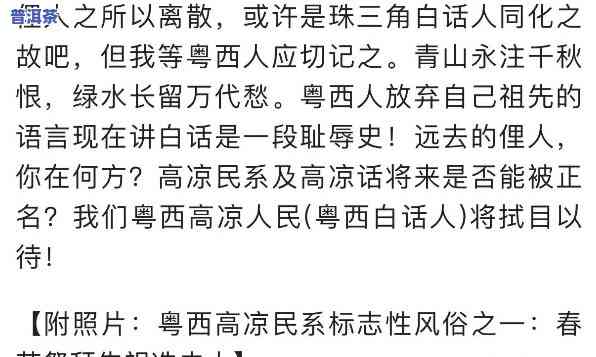 污蔑普洱茶的老何是谁啊-污蔑普洱茶的老何是谁啊