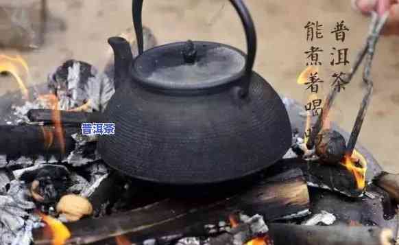 普洱适合煮茶吗，探讨普洱茶的煮茶方法：它真的适合煮着喝吗？