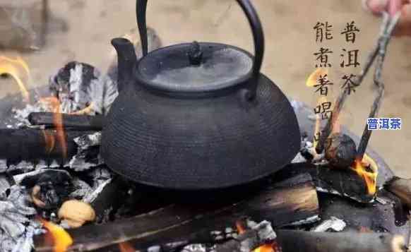 普洱茶是不是适合煮的茶-普洱茶是不是适合煮的茶叶