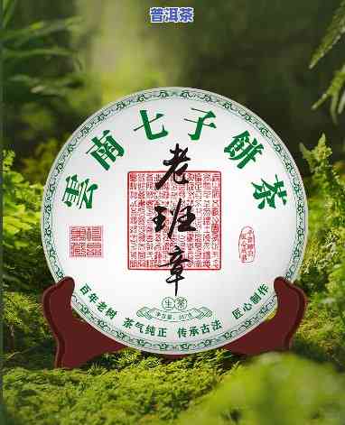 施甸古普茶厂老班章-正宗云南普洱茶茶叶古树老班章珍藏品普洱茶生茶