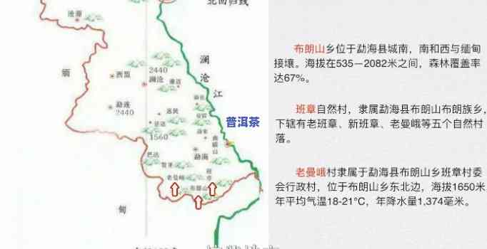 布朗山老班章古树茶：价格与品质全解析 - 勐海品香园