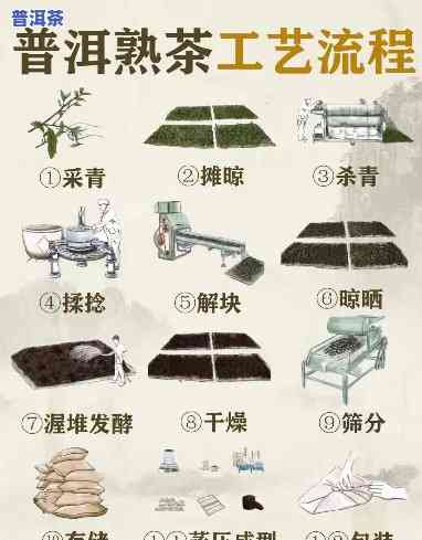 普洱熟茶加工工艺图-普洱熟茶加工工艺图片