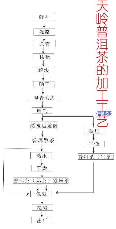 普洱熟茶加工工艺图-普洱熟茶加工工艺图片