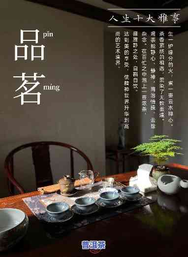 茗善堂茶叶，品味优雅人生，选茗善堂茶叶