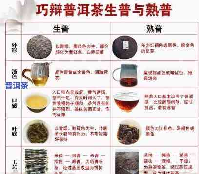 探寻高端普洱茶：全方位解析十大顶级茶叶