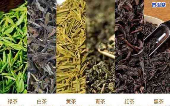 普洱高端茶叶有哪些？与品种全解析