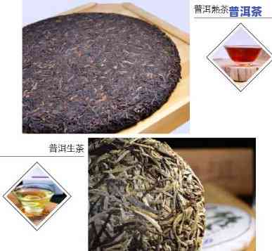 哪些属于高端普洱茶类别-哪些属于高端普洱茶类别的