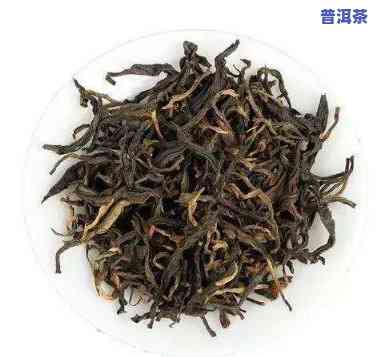 红茶是毛茶吗还是普洱茶呢，红茶和普洱茶：它们之间有何区别？