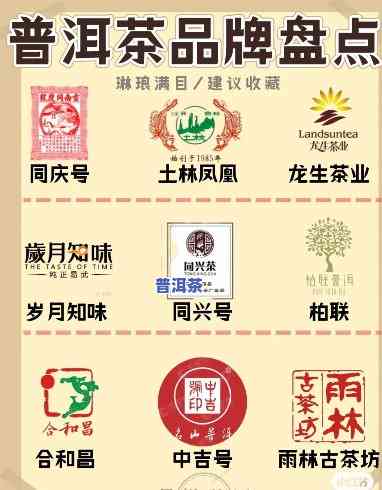 普洱茶公司门店数量及实力排名