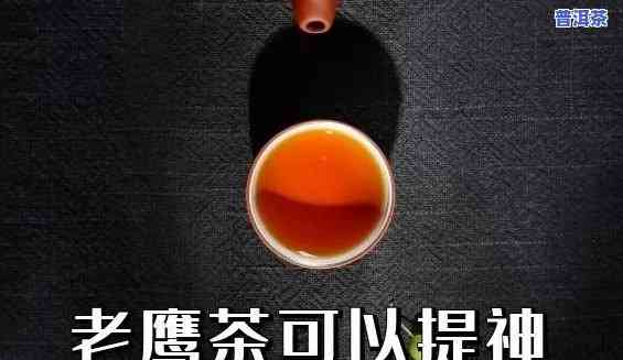 老鹰茶和普洱茶怎样一起冲泡？方法与口感解析