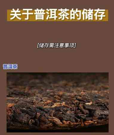 普洱茶保存更佳方法：详细解析与实用技巧