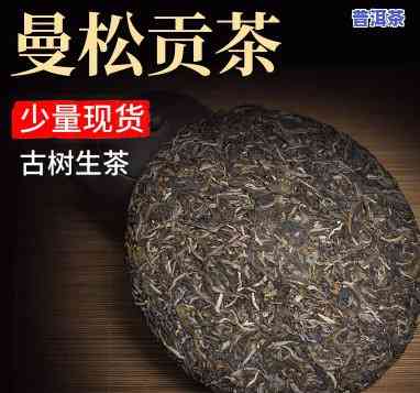 普洱茶曼松大树图片欣赏-普洱茶曼松大树图片欣赏