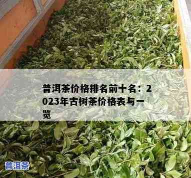 最新普洱茶毛料价格表2023年全览