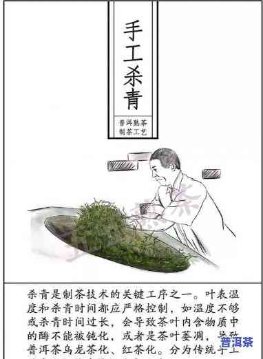 普洱茶毛料筛选工序详解：步骤、方法与关键性