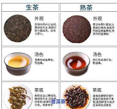 广东茶叶和普洱茶区别图-广东茶叶和普洱茶区别图片